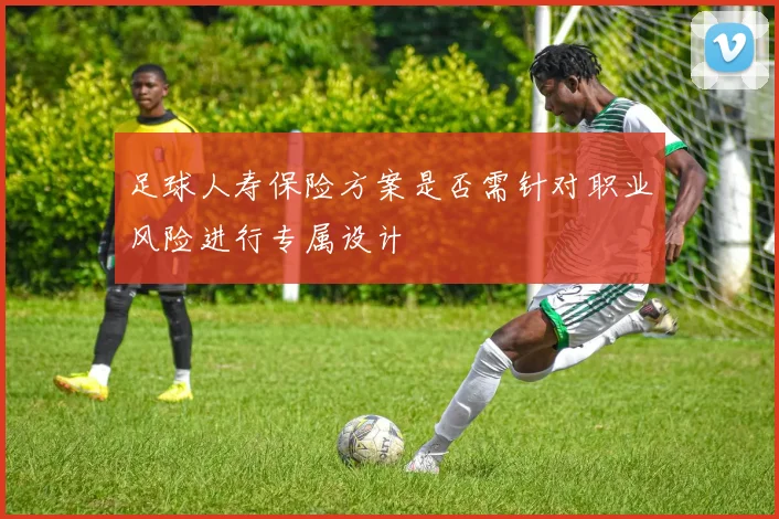 足球人寿保险方案是否需针对职业风险进行专属设计